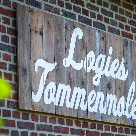 赫林贝尔亨Logies Tommenmolen公寓 外观 照片